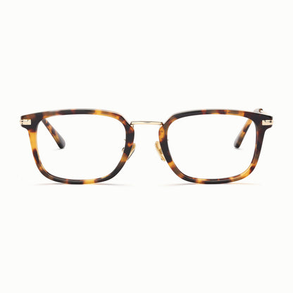 Hayes square prescription glasses 